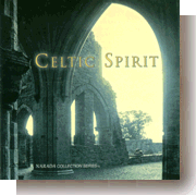 Celtic Treasure Album cover